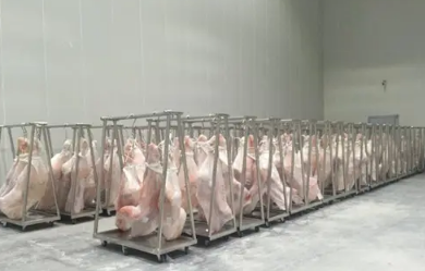 禽​肉类食品在冷库中能冷冻冷藏多久？禽​肉食品冻结与冷冻冷藏技术