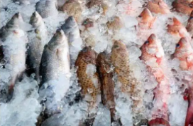 鱼肉类冷库食品的冻结与冷冻冷藏工艺技术最长可贮藏达4月之久