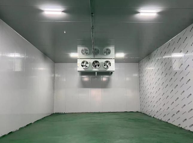 重庆合川区建造一个300平方米乳制品冷藏库造价多少钱？